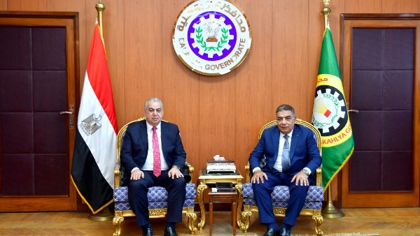 محافظ الدقهلبة