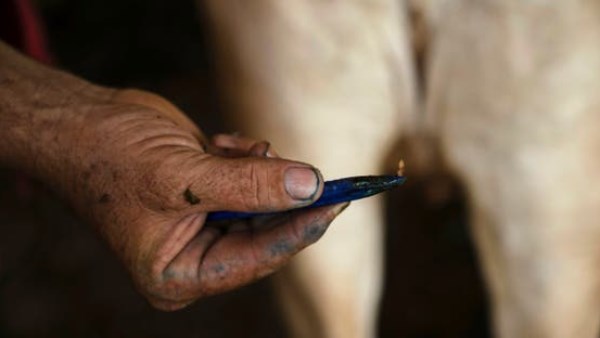 خطر داهم من تفشي المرض 