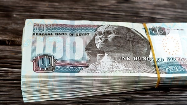 حبس المتهمين بالاستيلاء على أموال الدعم بطرق احتيالية