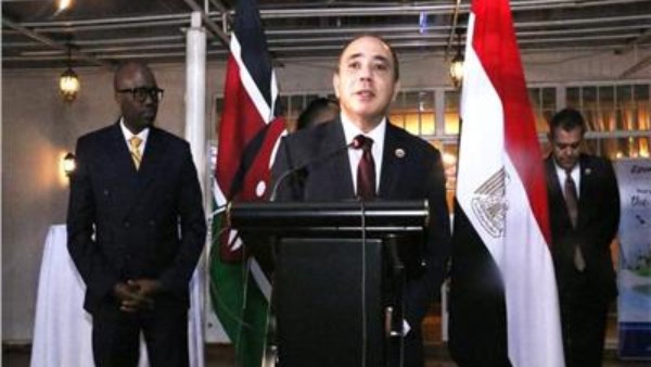 السفير وائل نصر الدين عطية