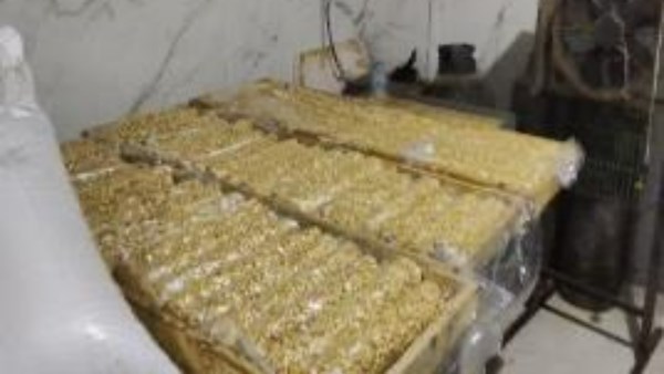 المضبوطات