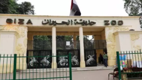 مفاجأة في سعر التذكرة.. موعد الافتتاح وأبرز تجديدات حديقة الحيوان بالجيزة بعد التطوير