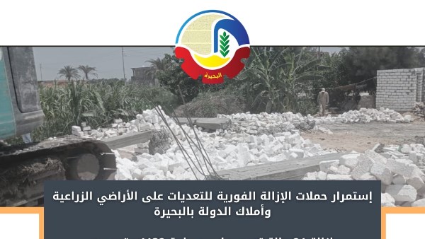 محافظ البحيرة