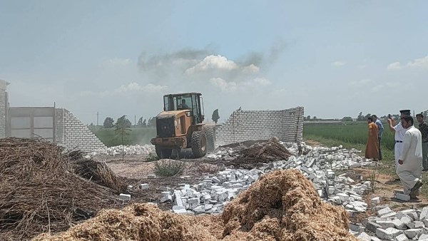 حملات إزالة بالبحيرة