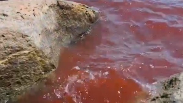 بحيرة طبريا تتحول إلي بحر من الدم