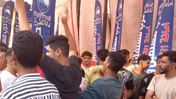 انتخابات مجلس الشيوخ