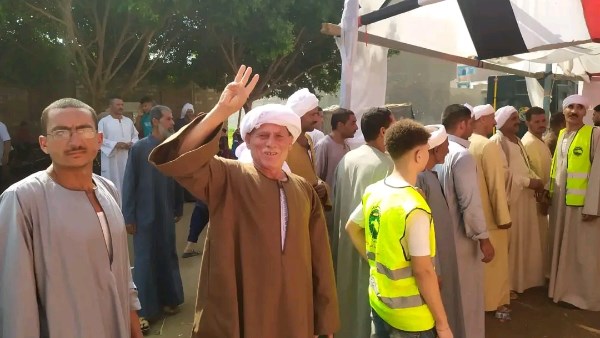 انتخابات مجلس الشيوخ 