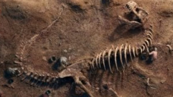 عمره 115 مليون عام.. اكتشاف آثار ديناصور عملاق في أمريكا 