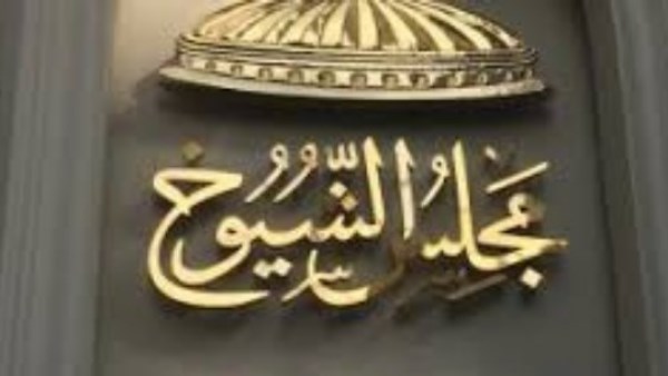 توقف الدعاية لـ 10 مرشحين بجولة الإعادة بانتخابات الشيوخ بـ5 محافظات.. في هذا الموعد
