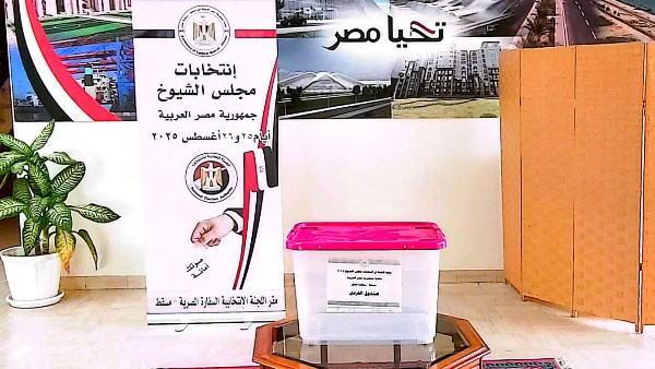 بالصور.. تصويت المصريين بالخارج في الدول العربية والآسيوية والإفريقية بجولة الإعادة بانتخابات الشيوخ