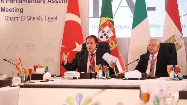 النائب محمد أبو العينين 