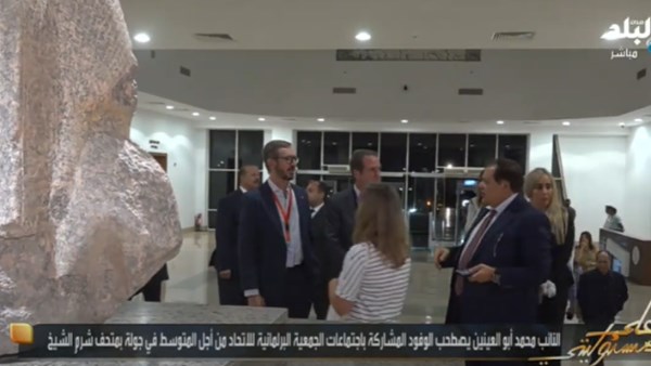النائب محمد أبو العينين 