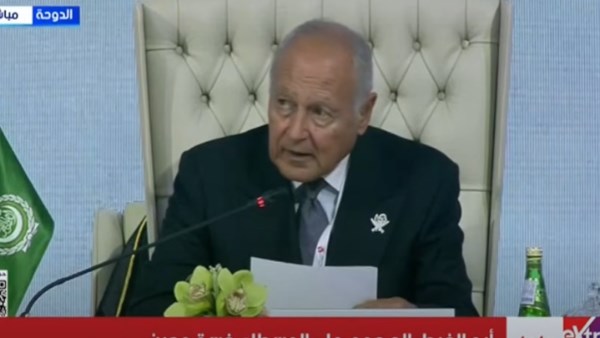 أحمد أبو الغيط 