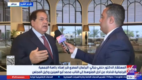  النائب محمد أبو العينين