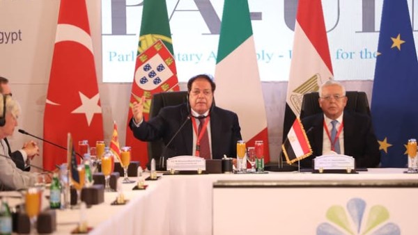 محمد أبو العينين