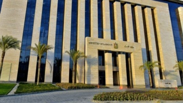 وزارة العمل 