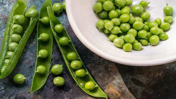  اضرار لـ البزلاء احترس منها