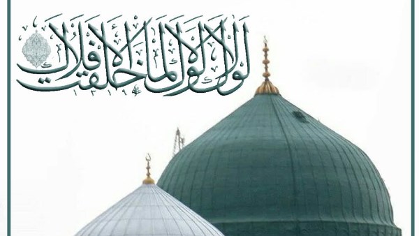 علي جمعة: الرسول باب البشر إلى الله من لزمه فُتح عليه ومن أغلقه خسر كثيرا