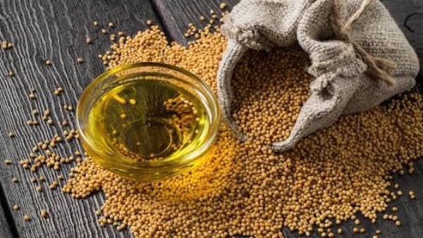 نشرة المرأة والمنوعات