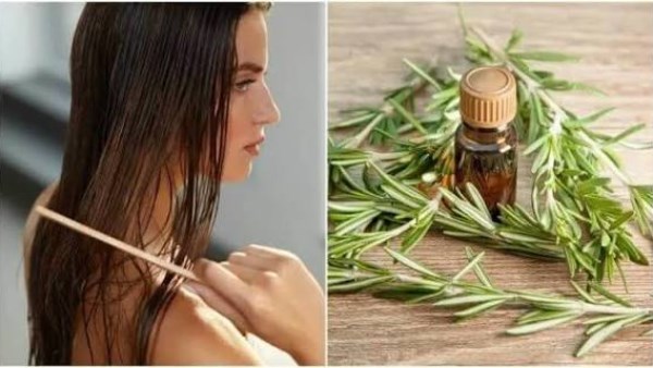 وصفة طبيعية لعمل سيروم الروزماري في المنزل