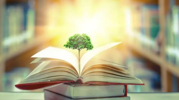 برلمانية: دبلوم التوكاتسو خطوة نحو جيل تربوي جديد وشراكة تعليمية تعيد بناء المعلم