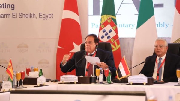 محمد ابو العينين 
