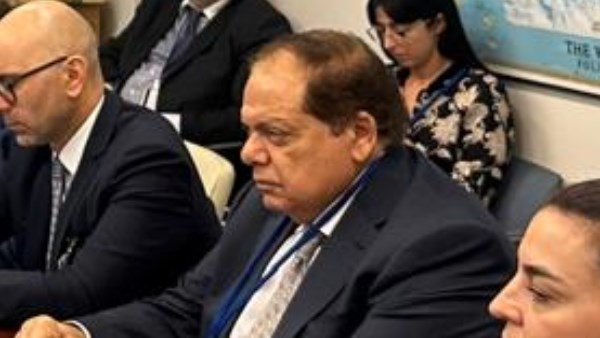 النائب محمد أبو العينين وكيل مجلس النواب 