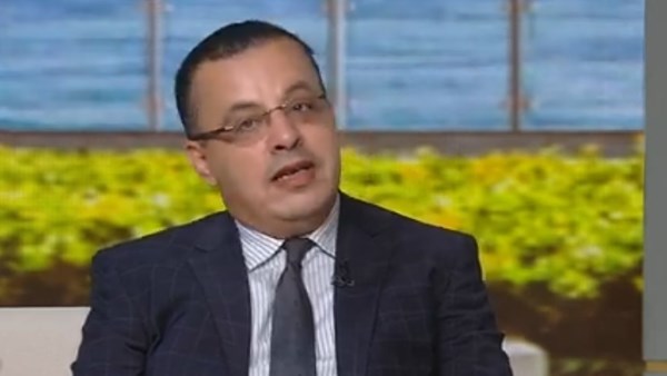 محمد نصر الجبالي، استاذ الترجمة وعميد كلية الألسن بجامعة الأقصر سابقا
