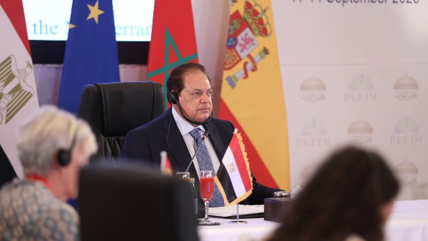 النائب محمد أبو العينين