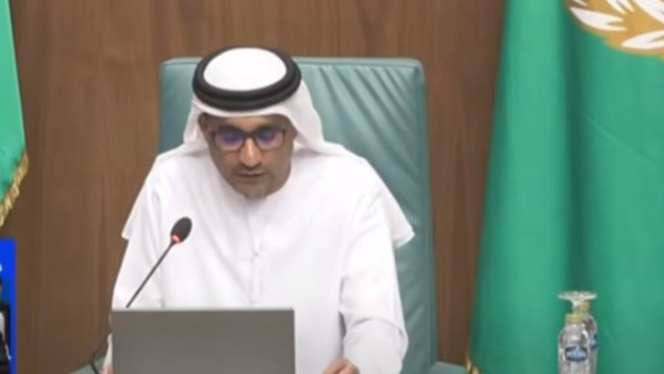جامعة الدول العربية جامعة الدول العربية