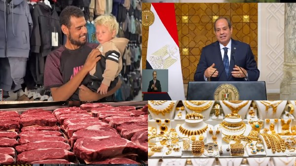 صورة الملف