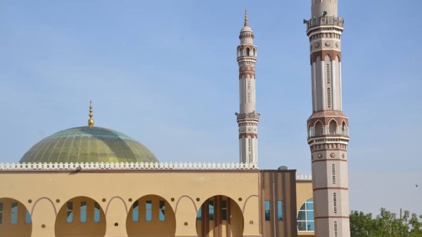 ارشيفية