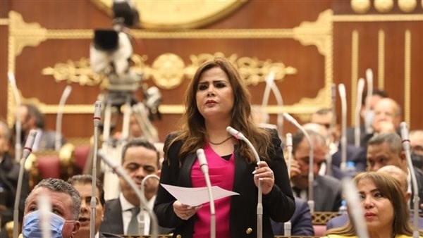  النائبة أمل رمزي، عضو لجنة الدفاع والأمن القومي بمجلس الشيوخ