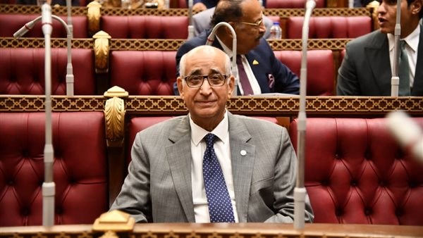 النائب حسانين توفيق عضو لجنة الاتصالات بمجلس الشيوخ