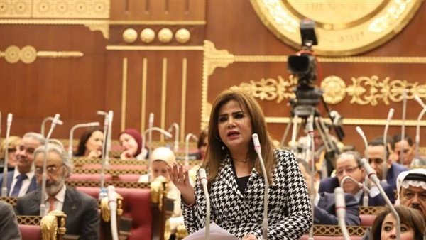 نائبة: قمة الدوحة ضرورة تفرضها اللحظة ودعوة لموقف عربي وإسلامي موحد