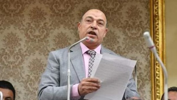  المهندس حسن المير عضو مجلس النواب