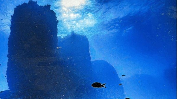 شاهد كشف آثري 