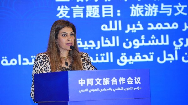 معاون وزير السياحة والآثار 