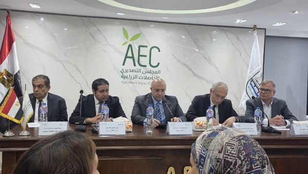 التصديري