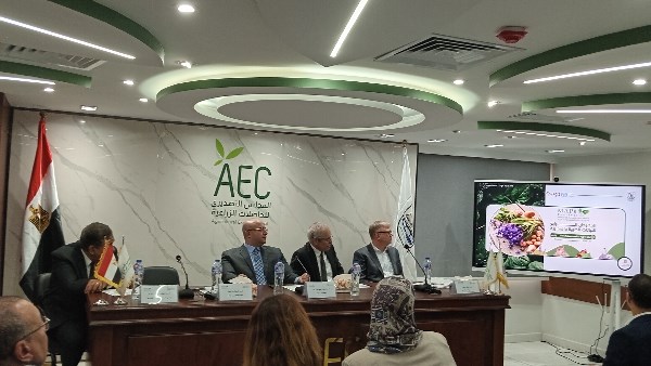 محافظ بني سويف 
