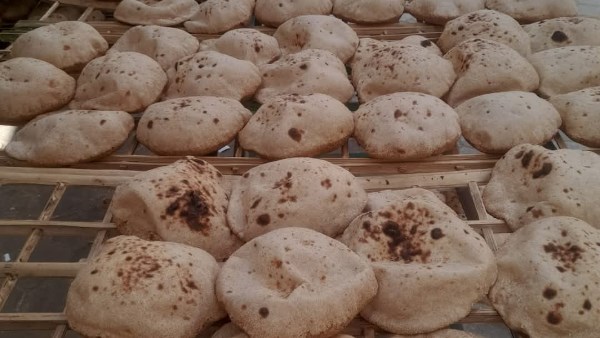 حملات تموينية متنوعة 