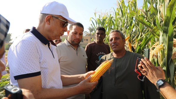 تزامناً مع الاحتفال بـ“عيد الفلاح”.. محافظ المنيا يشارك في حصاد المحاصيل الصيفية