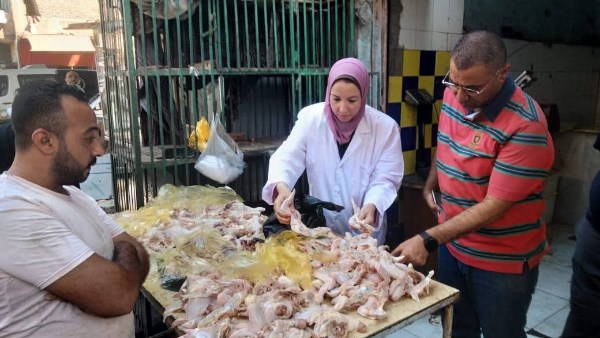 حملات بيطرية بالمنيا 