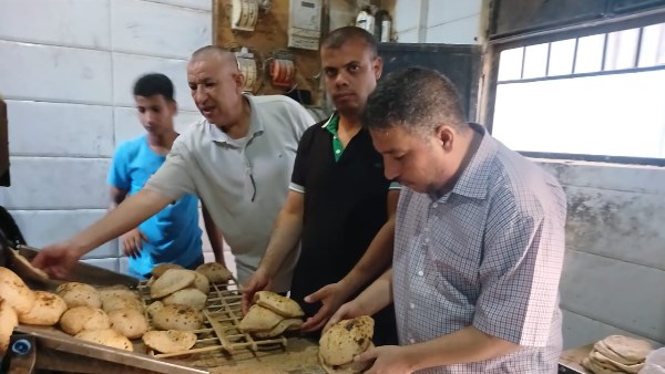 محافظ أسيوط: ضبط دقيق مدعم قبل تسريبه للسوق السوداء وتحرير 273 محضرًا