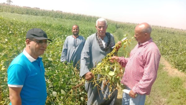 توعية المزارعين للإستفادة من المخلفات الزراعية بأسيوط 