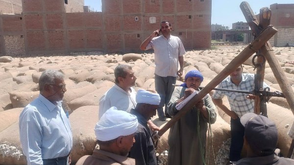 محافظ أسيوط: خطة متكاملة لإحياء زراعة القطن وتشغيل مصانع الغزل والنسيج