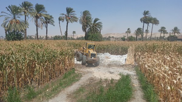 إزالة التعديات بأسيوط 