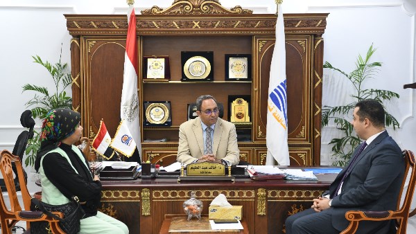 محافظ قنا 