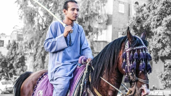 الشاب محمد ابو الحسن شفيق 