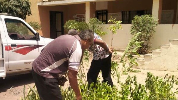 جهود محافظة أسوان